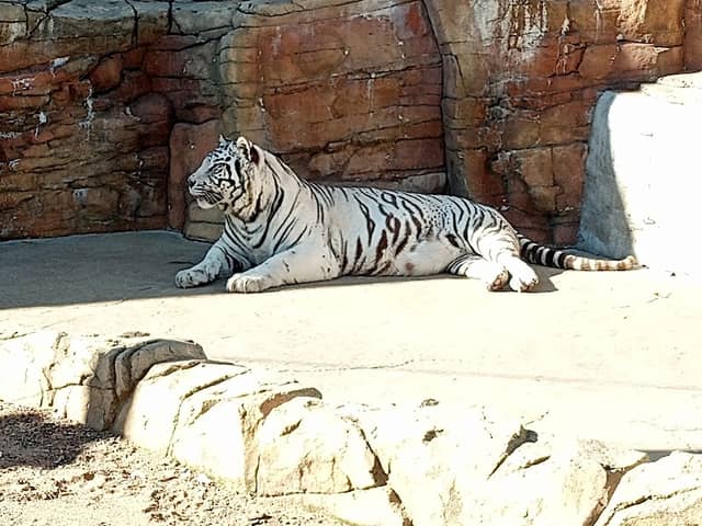 Irvine Park Zoo - Image 1