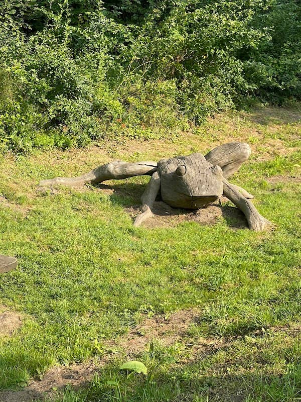 Erlebnispfad: Holzfrosch - Image 1