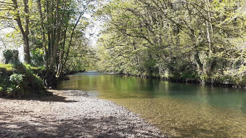 Craig-y-Parcau Local Nature Reserve - Image 1