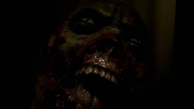 Dead Zone Rising - Image 1