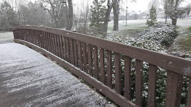 Forest Glen Park - Image 1