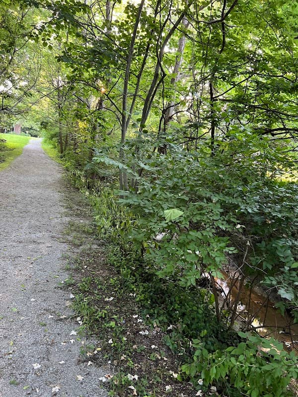 Whiskey Run Creek 3rd St Trailhead - Image 3
