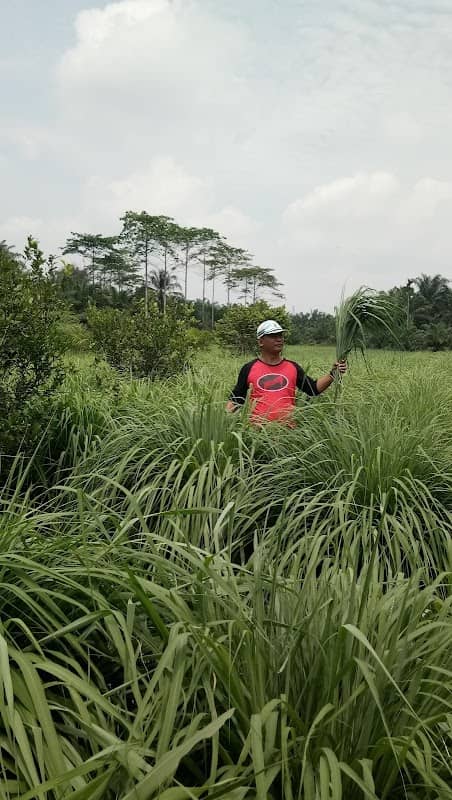 Taman Pojo Srita Indah Stabat - Image 1