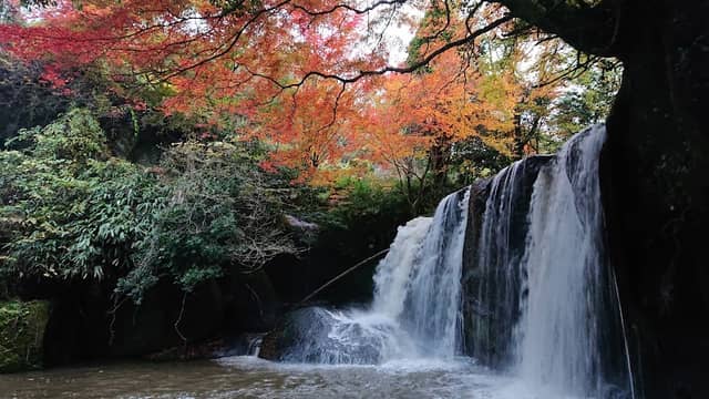 観音滝 - Image 2