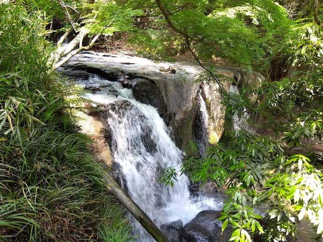 観音滝 - Image 1