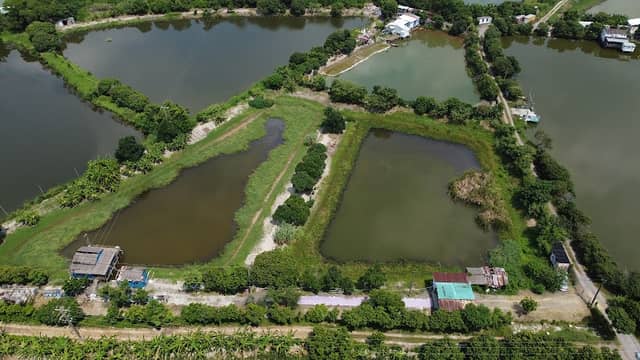 Tai Sang wai - Image 1