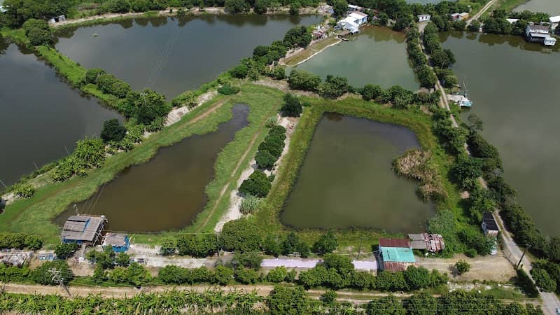 Tai Sang wai - Image 1