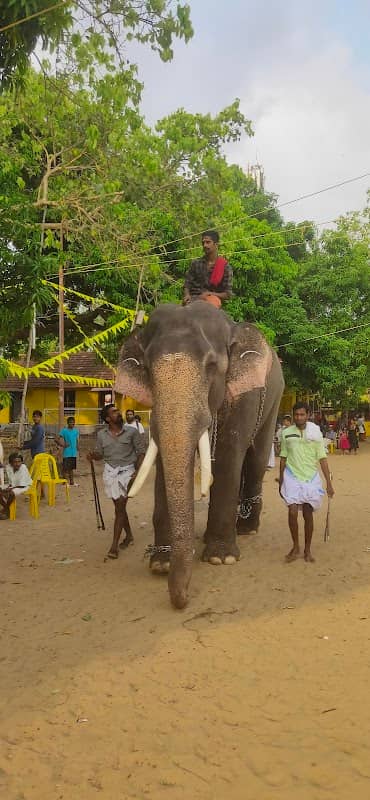 ILLIKKAL JUNCTION - Image 1