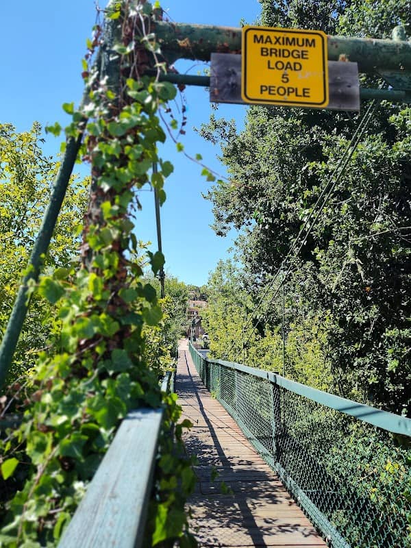 Swinging Bridge - Image 2