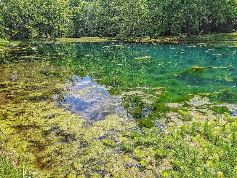 Flint Creek Nature Area - Image 1