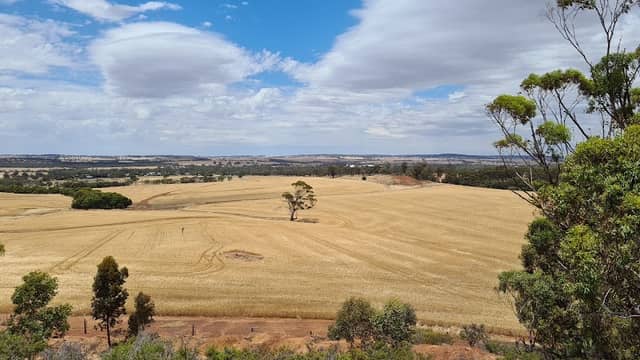Brookton Lookout - Image 1