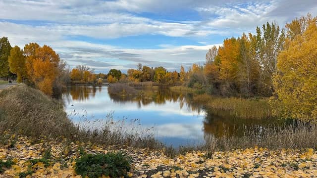Nature Park - Image 1