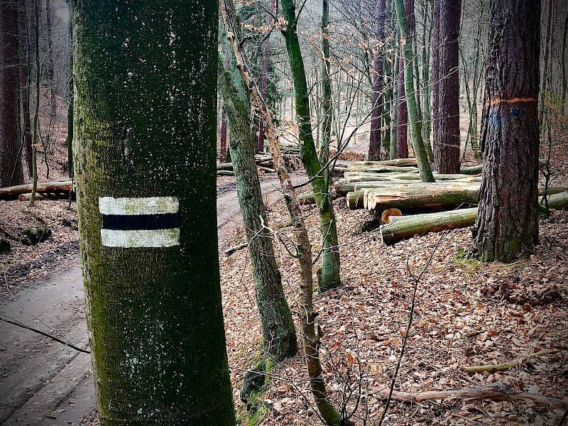 Źródło Potoku Karlikowskiego - Image 1
