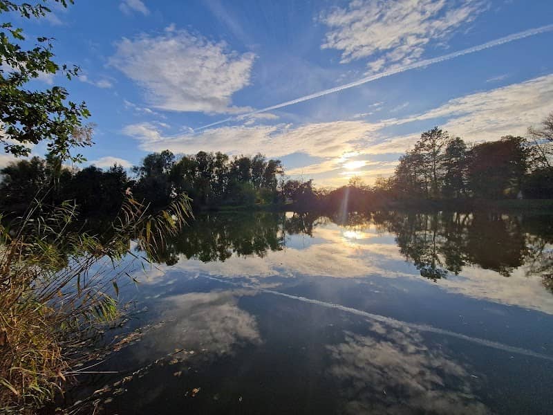 Kleiner Weiher Riedstadt - Image 1