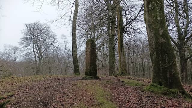 Beacon hill - Image 2