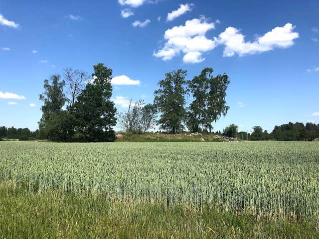 Täby prästgård Naturreservat - Image 1