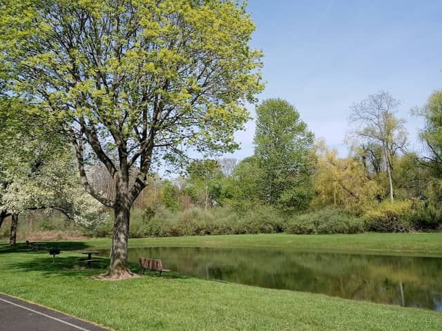 Pine Street Park - Image 4