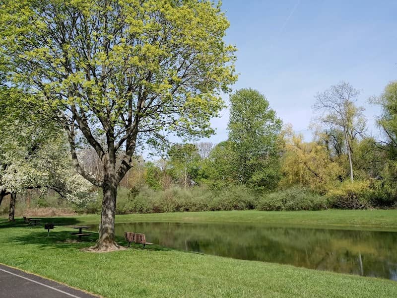 Pine Street Park - Image 4
