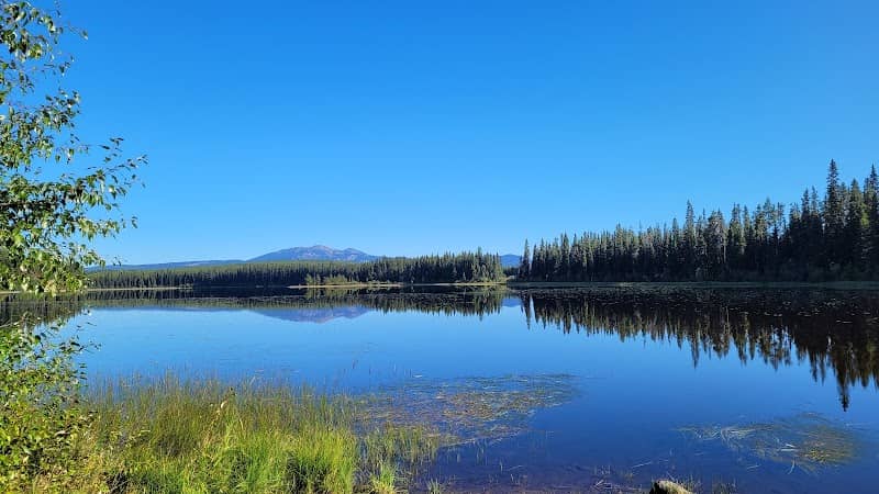 Lassie Lake Recreation Site - Image 1