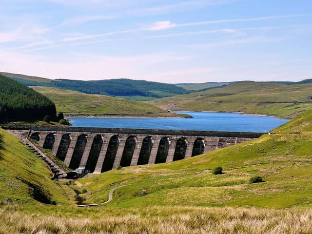 Nant-y-moch Reservoir - Image 1