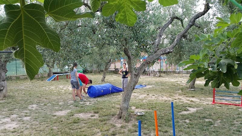 Parco Cinofilo Namira - Image 2