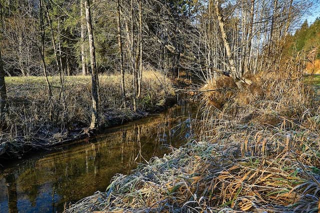 Hager Moor - Image 1