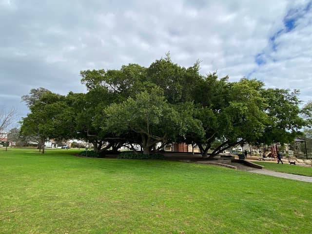 Wood Park - Image 1