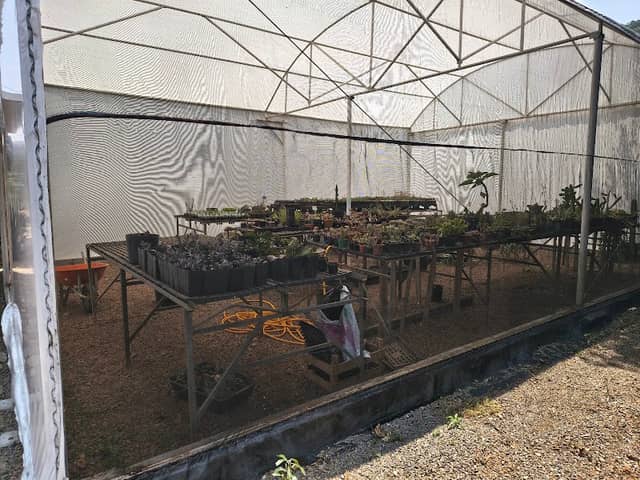 Botanical Garden Foundation of Pocos de Caldas - Image 1