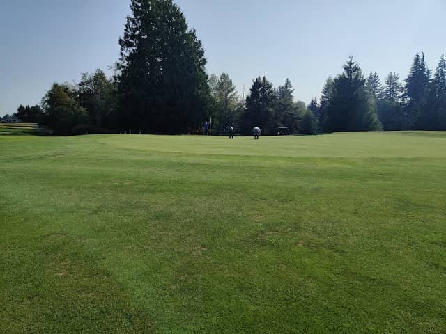 Walter E. Hall Park - Image 2