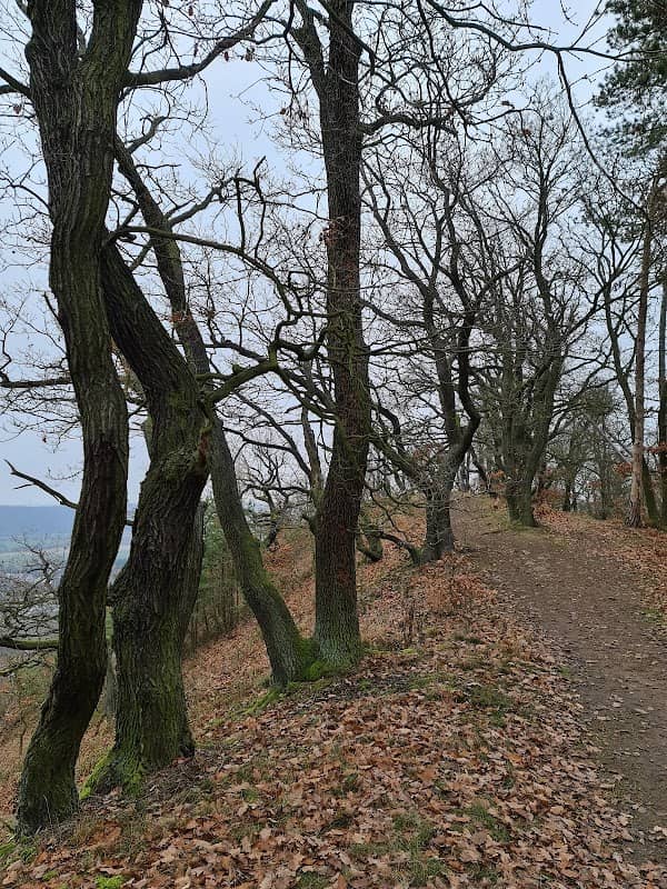 Vyhlídka Diavola - Image 3