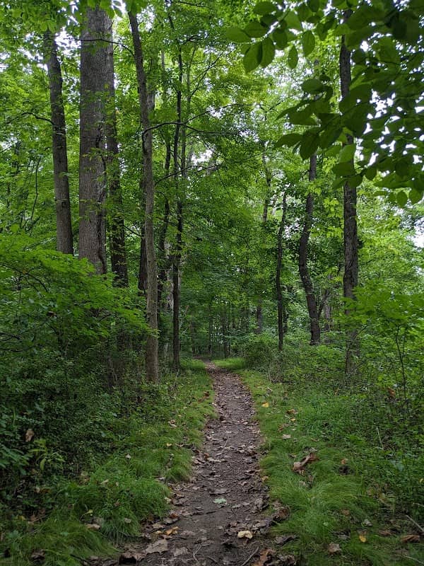 Florence W. Kuipers Memorial Park - Image 1