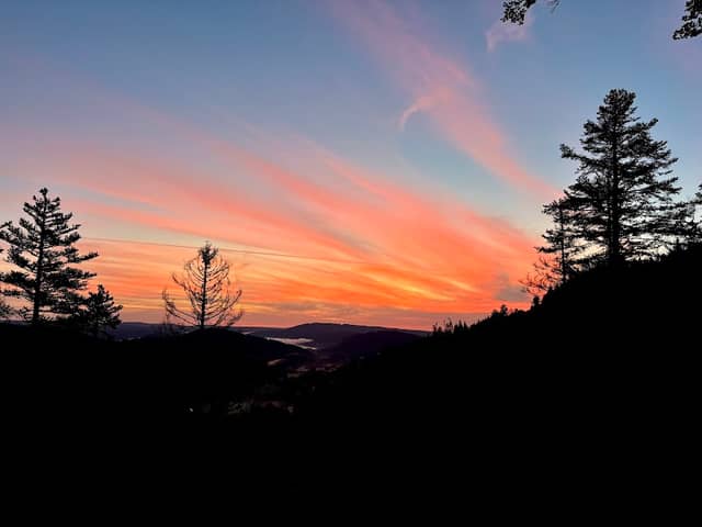 Aussichtspunkt Feldberg Titisee - Image 3