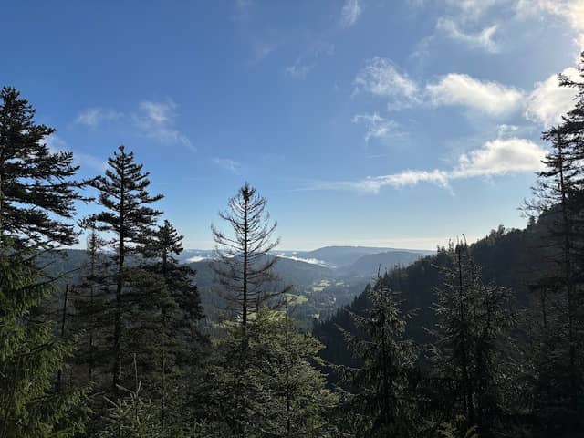 Aussichtspunkt Feldberg Titisee - Image 1