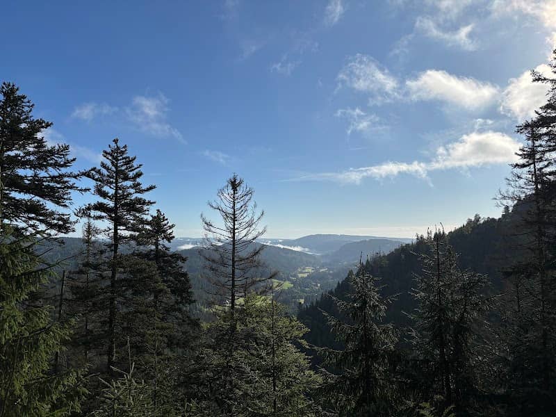 Aussichtspunkt Feldberg Titisee - Image 1