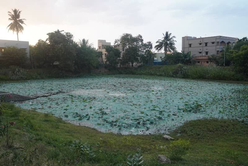 Uthangudi Lake / உத்தங்குடி ஊருணி - Image 1