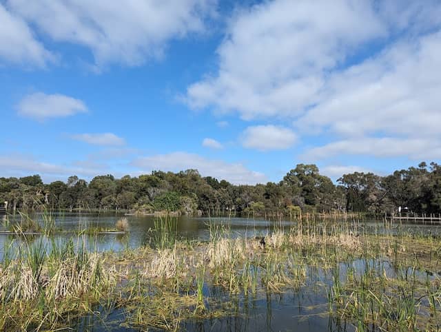 Lake Bungana Reserve - Image 3