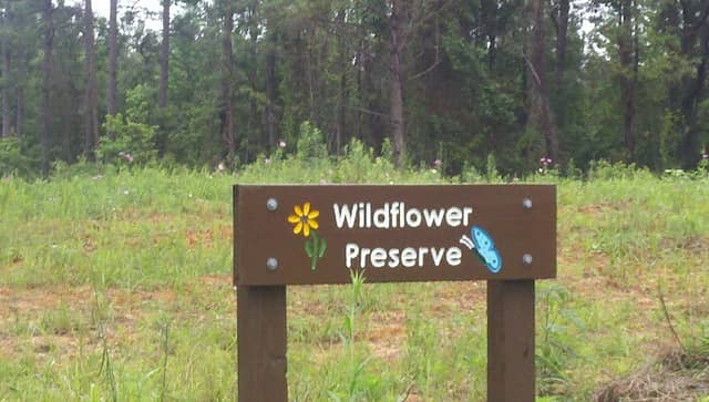 Della's Wildflower Meadow - Image 1