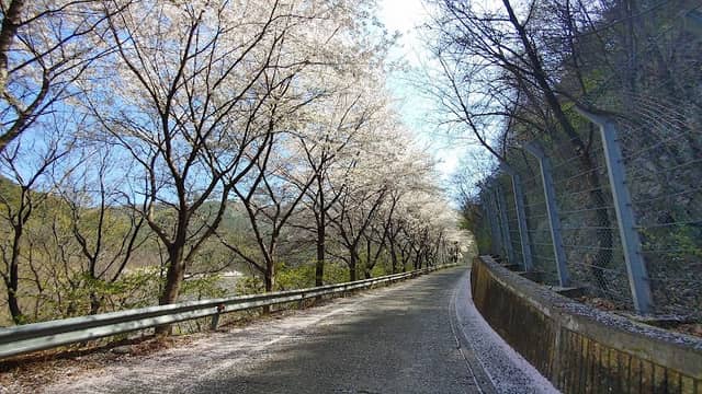 Naegwanji - Image 2