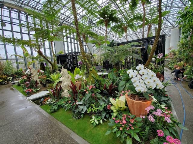 Kiseki No Hoshi BOTANICAL MUSEUM - Image 3