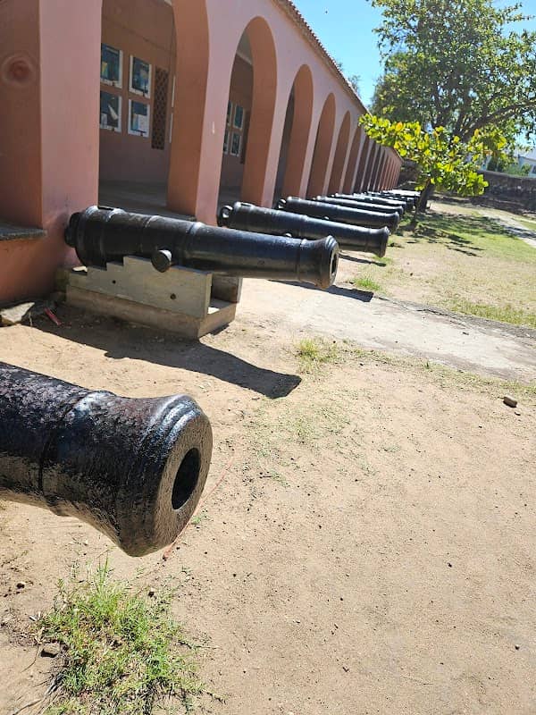 Cannon collection - Image 1