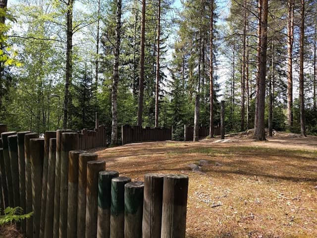 Toteemipuisto - Image 1
