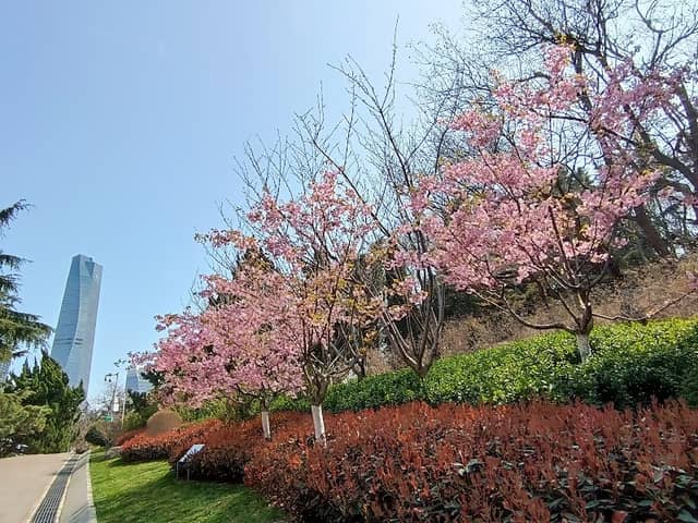 Qingdao Zhongshan Park - Image 1