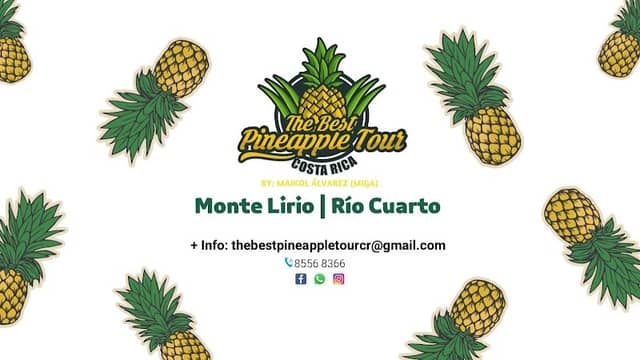 The Best Pineapple Tour CR - Image 1