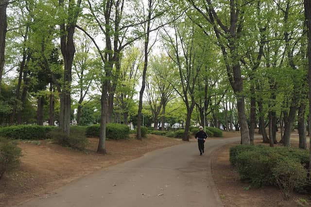Fujimichuokinrin Park - Image 1