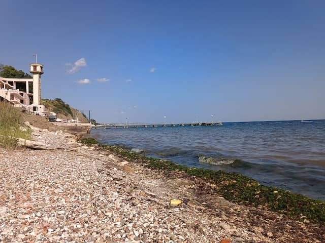 yosun plajı - Image 1