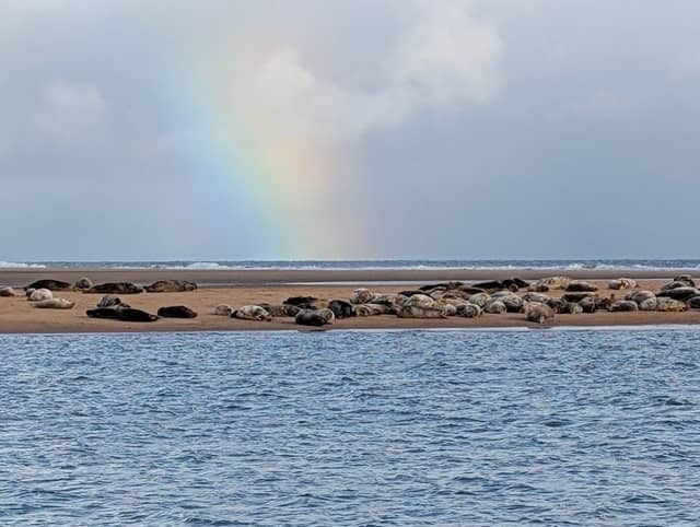 Newburgh seal beach - Image 2