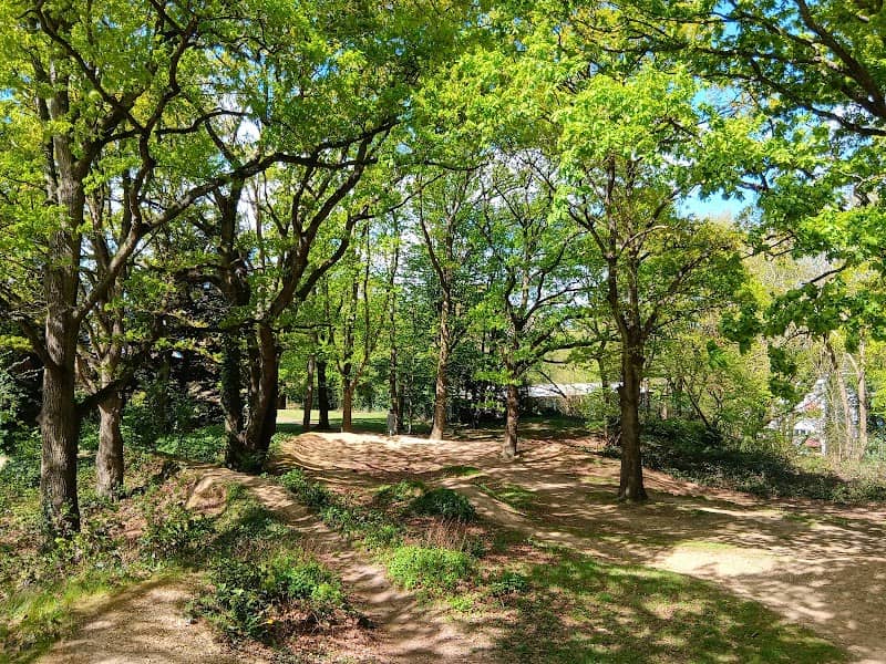 Dumbleton's Copse - Image 2