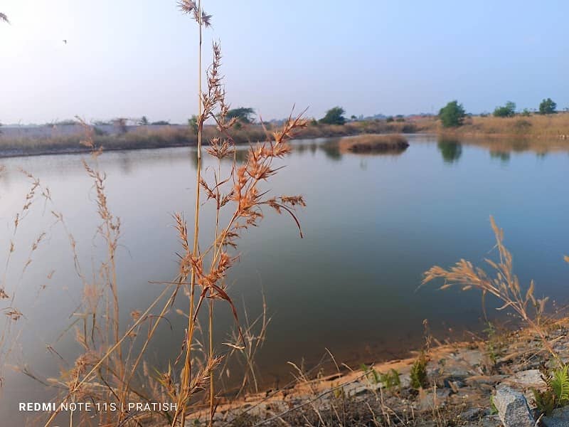 IIIT-Dharwad Pond - Image 2