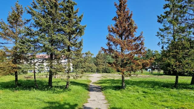 Haabneeme park - Image 2