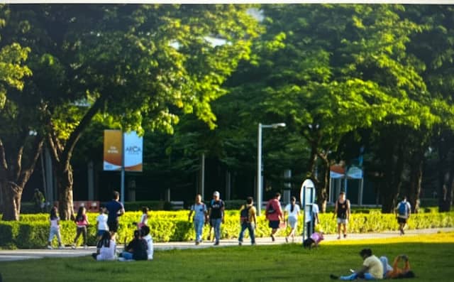Arca South Park - Image 3